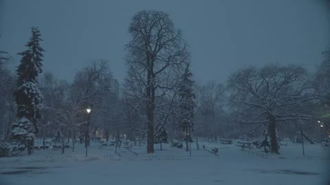 City park in winter in Sofia city Stock Footage 297956731