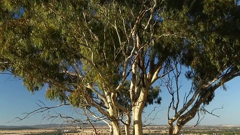 The City of Parkes from the War Memorial hill Stock Footage 101161053