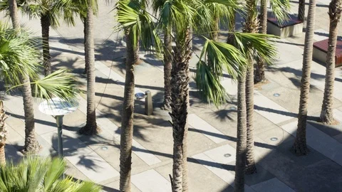 City Piazza Quiet Darwin 4K Rec 709 Stock Footage 102747655