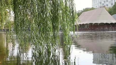City pond Stock Footage 44754046