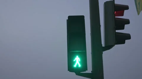 City Pulse: The Rhythmic Change from Green to Red at a Pedestrian Crossing Stock Footage 260314458