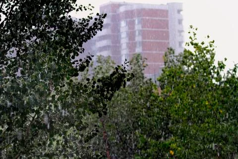 In the city rain Stock Photos