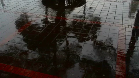 City rain trees Stock Footage 63114145