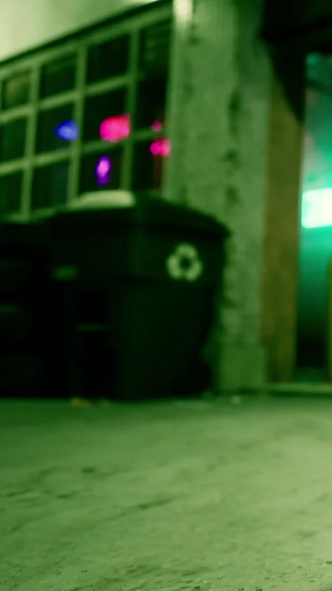 City scene shows garbage bins and colored lights at night near a building Stock Footage 341269703
