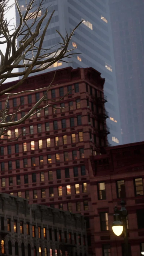 A city scene shows a tree with bare branches in front of tall buildings Stock Footage 338421947