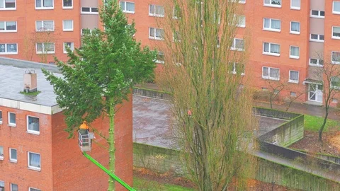 City service worker cuts down the branches of the trees with a chainsaw Stock Footage 83299119
