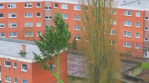 City service worker cuts down the branches of the trees with a chainsaw Stock Footage 83314198