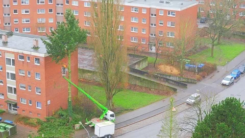 City service worker cuts down the branches of the trees Stock Footage 83316999