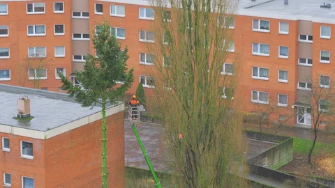 City service worker cutting tree branch at height. Vídeo Stock 98727892
