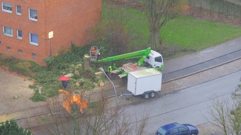 City service workers cutting down old tree on the street Vídeo Stock 99082829