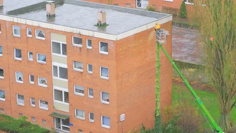 City service workers cutting old tree at height. Vídeo Stock 99081301
