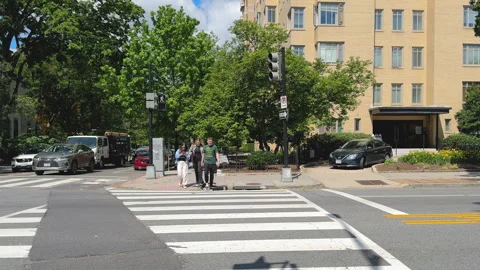 City sidewalk under dense tree canopy in summer Stock Footage 323560645
