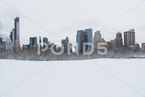 City Skyline And Snowy Urban Park