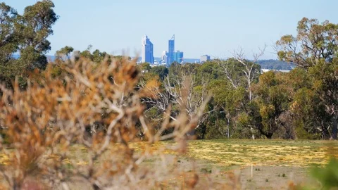 City skyline Spiders web focus in and out Stock Footage 108650237