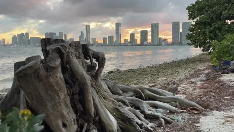 City Skyline view from the Ocean Stock Footage 231692306