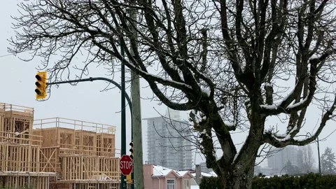 City Snowfall Stock Footage 209591984