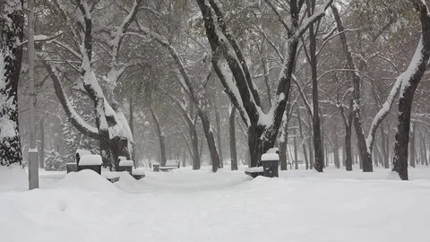 City square during a heavy snowfall Video stock 69891491