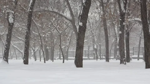 City square during a heavy snowfall Video stock 69893855