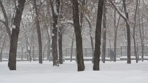 City square during a heavy snowfall Video stock 69894629