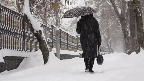 City square during a heavy snowfall Stock Footage 69895725