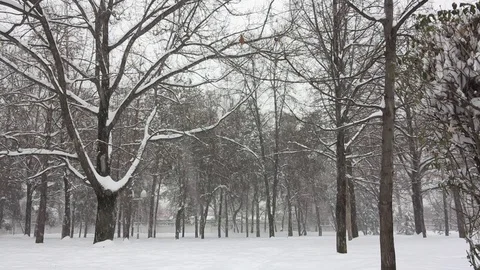 City square during a heavy snowfall Video stock 69895747