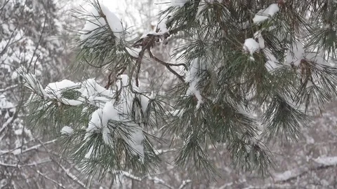 City square during a heavy snowfall Video stock 69896216