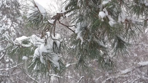 City square during a heavy snowfall Video stock 69897282