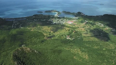 City of St John's, dense forest, bay and liner in the azure sea Video stock 135567764