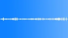 City street, birds chirping (ambient, denoised 01)Sound Effect
