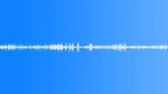 City street, birds chirping (ambient, denoised 02) Sound Effect