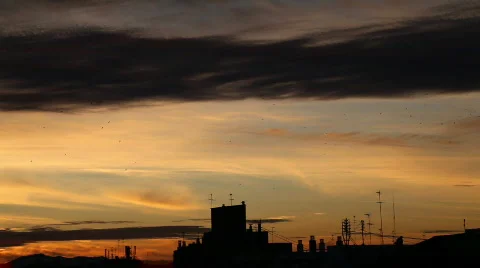 City Sunset 库存影片 593126