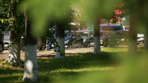 In the city through the fir-tree branches you can see cars standing in traffic Stock Footage 119495923