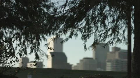 City Through Trees With Focus Pull Stock Footage 68386335
