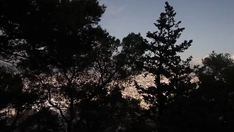 City through trees Stock Footage 75431504