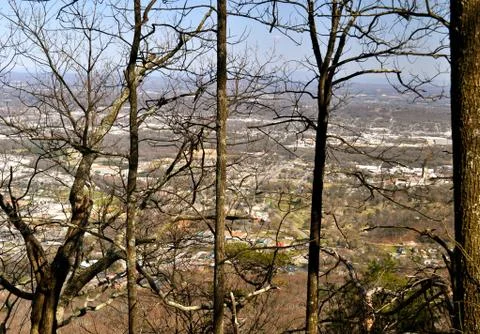 City through trees 스톡 사진