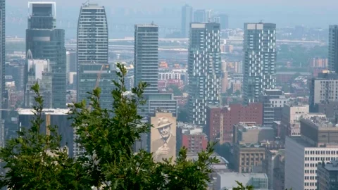 City towers and rooftops create a dense urban panorama overlooking downtown Stock Footage 344035778