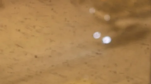 City traffic is moving through snowfall in the evening Stock Footage 127592932