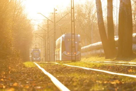 City trams in the rays of the sunset soft bright back-light sun, glare on the Stock Photos