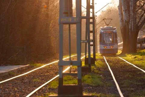 City trams in the rays of the sunset soft bright back-light sun, glare on the Stock-Fotos