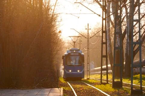 City trams in the rays of the sunset soft bright back-light sun, glare on the Stock Photos