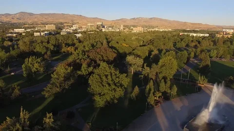 City of Trees Stock Footage 101028392