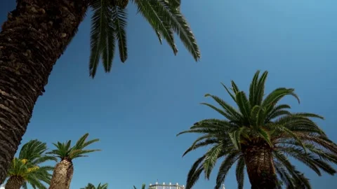 City of Trogir Stock Footage 207042737
