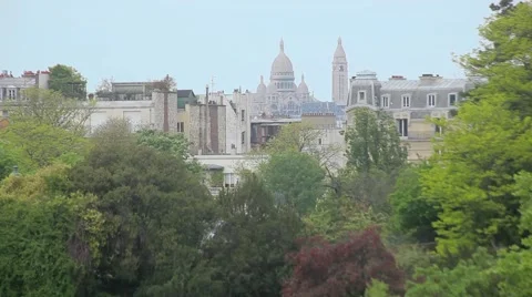City View from Botanic Garden Stock Footage 60003402