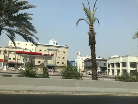 The city view with dates tree Stock Photos