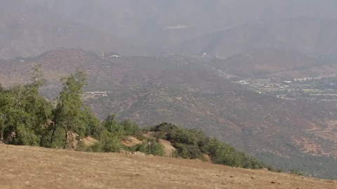 City view Stock Footage 77054023