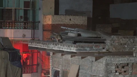 City view Stock Footage 112080964