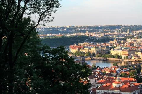 City view framed by trees and river Stock Photos