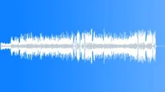 City WideStock Music