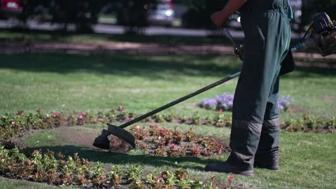 A city worker mows the grass with a petrol scythe. Stock Footage 205375119