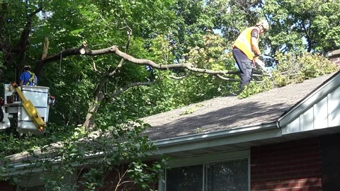 City workers with chainsaws cutting and removing fallen tree from house Stock Footage